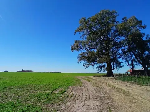 Campo en Venta en Santa Teresa, Constitución