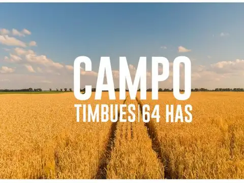 Campo en Venta en Timbues Jose Maria, San Lorenzo