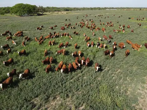 Campo en Venta en Marcelino Escalada, San Justo