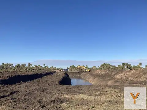 Campo en Venta en Gato Colorado, 9 de Julio