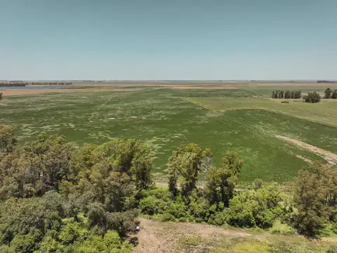 Campo en Venta en Rufino, General López