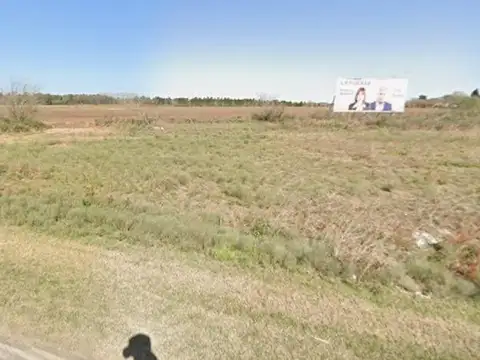 Campo en Venta en Alvear, Rosario