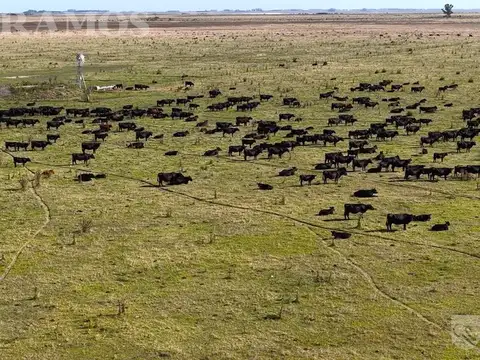Campo en Venta en Melincue, General López