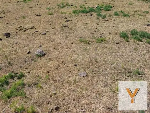 Campo en Venta en Gato Colorado, 9 de Julio