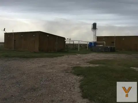 Campo en Venta en Gato Colorado, 9 de Julio
