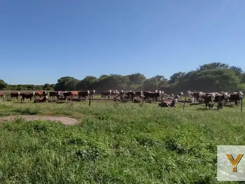 Campo en Venta en San Justo, Santa Fe