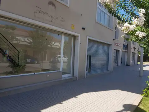 Local en Alquiler en Ibarlucea, Rosario