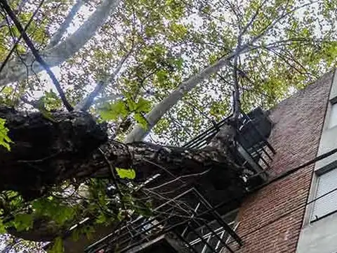 Departamento en Alquiler en Nuestra Señora De Lourdes, Rosario