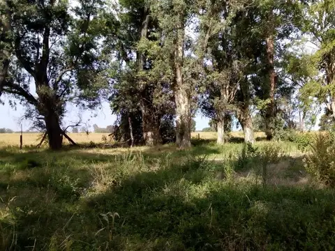 Terreno en Alquiler en Casilda, Caseros