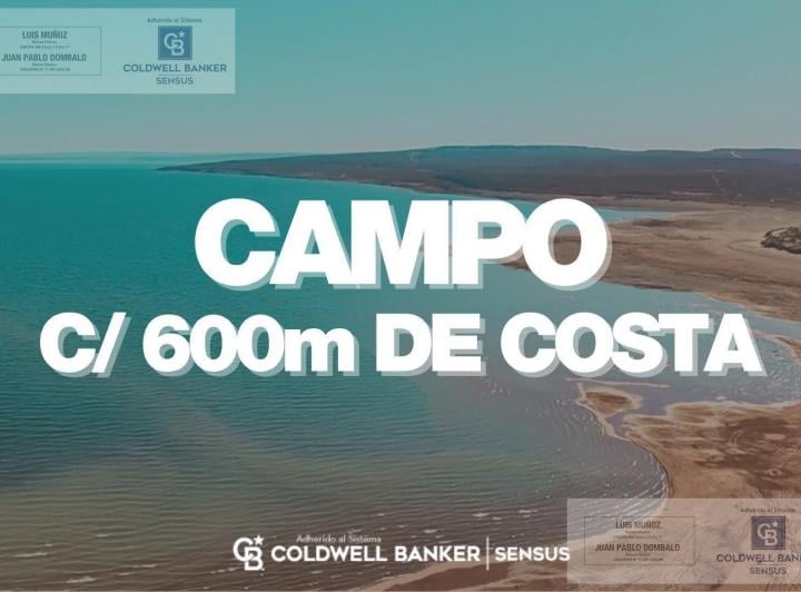 Campo · 180000ha