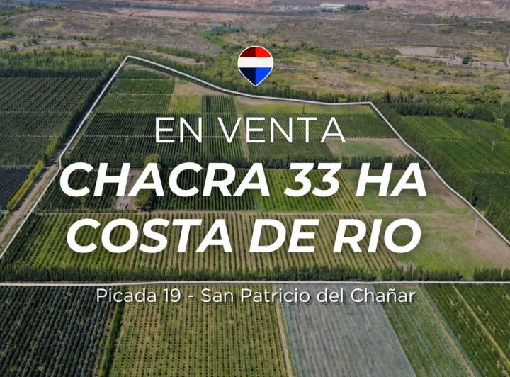 Campo · 33ha