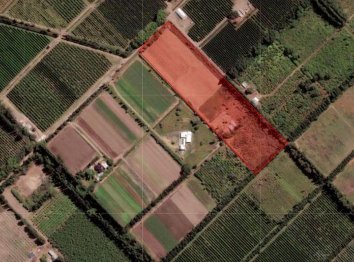 Campo · 125ha