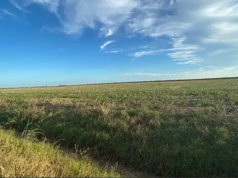 Terreno en Venta en Humboldt, Las Colonias