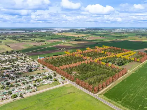 Terreno en Venta en General Lagos, Rosario