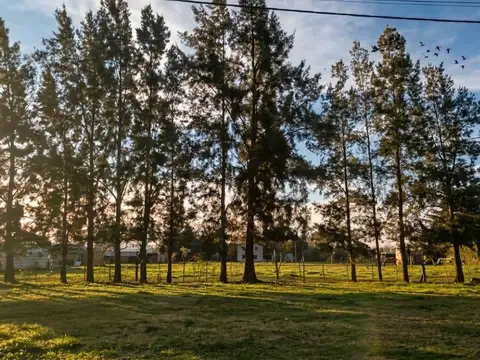 Terreno en Venta en Máximo Paz, Constitución