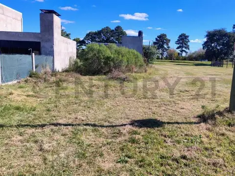 Terreno en Venta en Andino, Iriondo