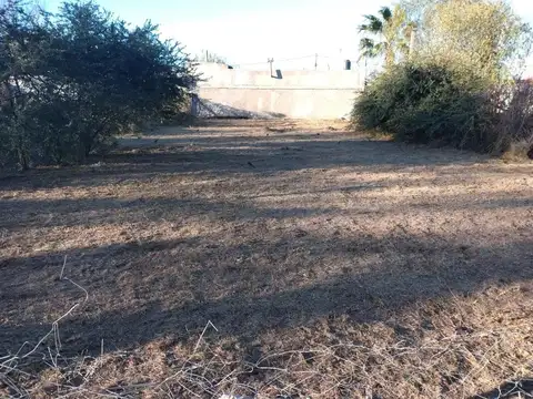Terreno en Venta en Andino, Iriondo