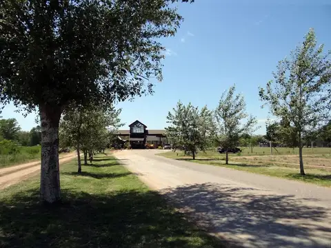 Terreno en Venta en Oliveros, Iriondo