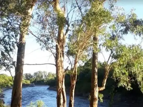 Terreno en Venta en Andino, Iriondo