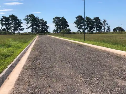 Terreno en Venta en Andino, Iriondo