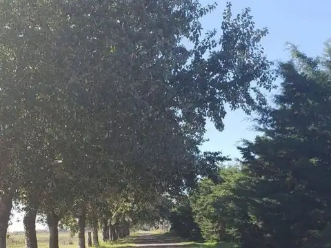 Terreno en Venta en Pueblo Esther, Rosario