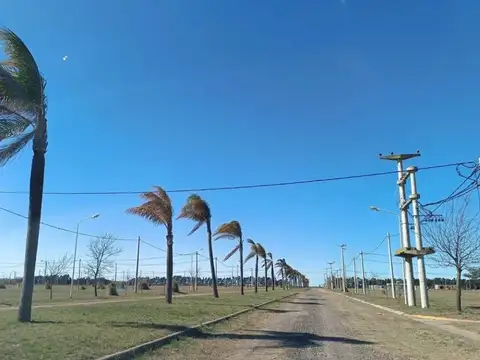Terreno en Venta en Casilda, Caseros