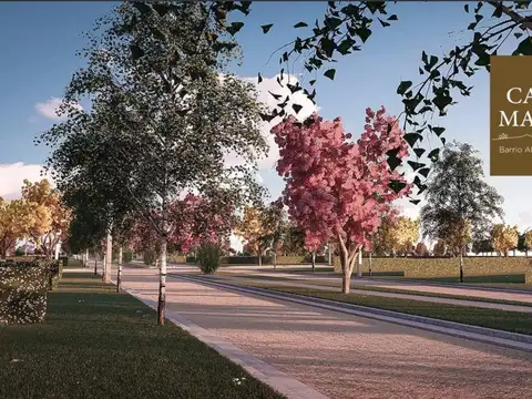 Terreno en Venta en Ibarlucea, Rosario