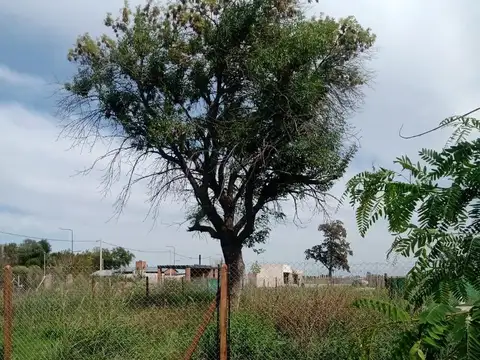 Terreno en Venta en Alvarez, Rosario