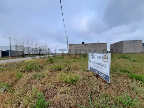Terreno en Venta en Susana, Castellanos