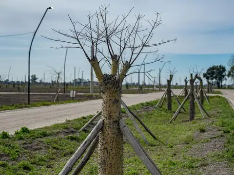 Terreno en Venta en Villa Amelia, Rosario
