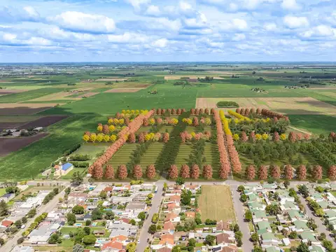 Terreno en Venta en General Lagos, Rosario