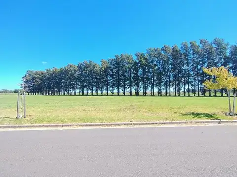 Terreno en Venta en General Lagos, Rosario