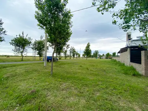 Terreno en Venta en Alvear, Rosario