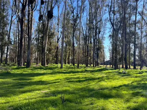 Terreno en Venta en Timbues Jose Maria, San Lorenzo