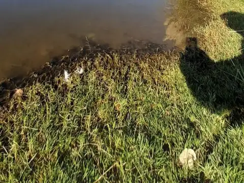 Terreno en Venta en Oliveros, Iriondo