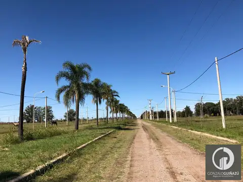 Terreno en Venta en Casilda, Caseros