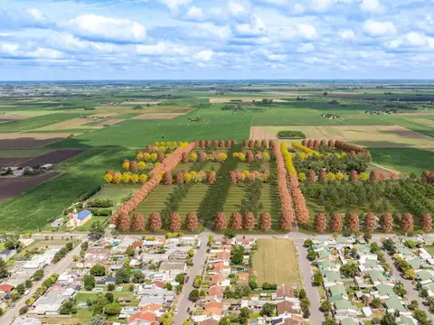 Terreno en Venta en General Lagos, Rosario