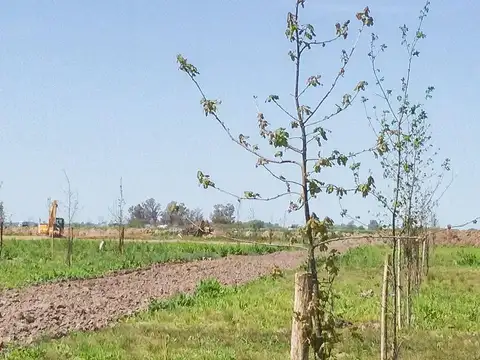 Terreno en Venta en Rosario, Santa Fe