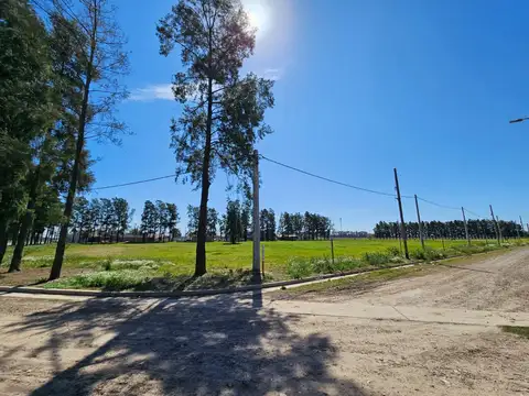 Terreno en Venta en General Lagos, Rosario