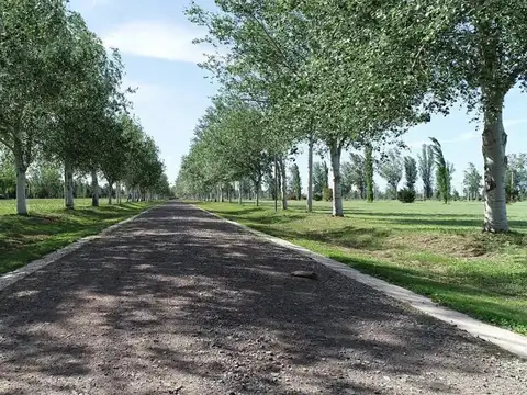 Terreno en Venta en Piñero, Rosario