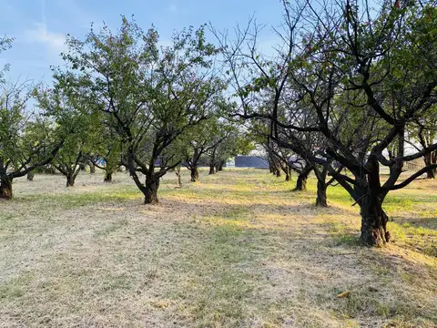 Terreno en Venta en Capitan Bermudez, San Lorenzo