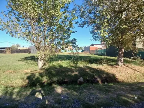 Terreno en Venta en Roldan, San Lorenzo