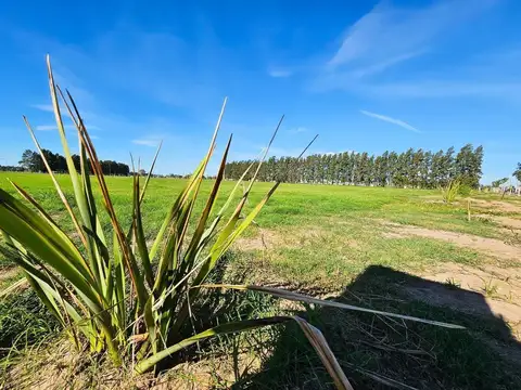 Terreno en Venta en General Lagos, Rosario