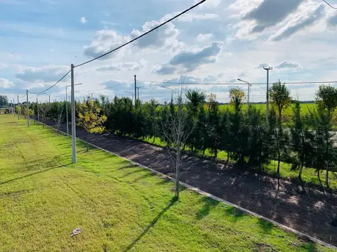 Terreno en Venta en Alvear, Rosario