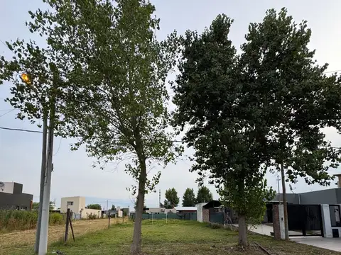 Terreno en Venta en Roldan, San Lorenzo