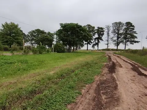 Terreno en Venta en Andino, Iriondo