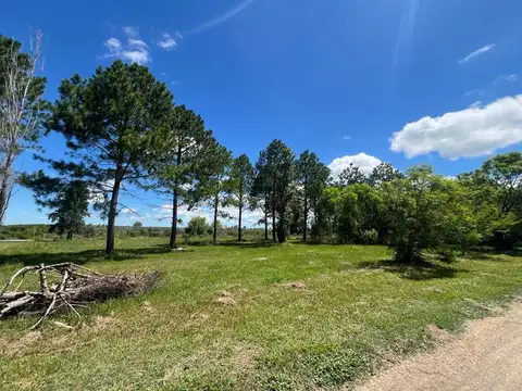 Terreno en Venta en Oliveros, Iriondo