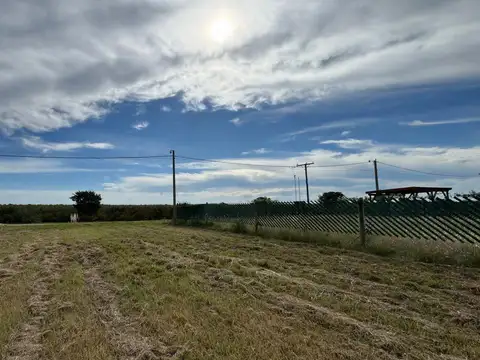 Terreno en Venta en Punta Chacra, Roldan
