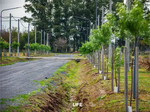 Terreno en Venta en Villa Amelia, Rosario