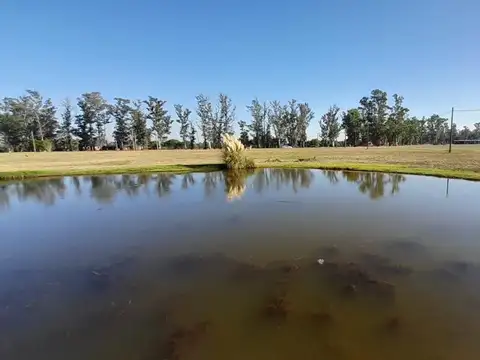 Terreno en Venta en Oliveros, Iriondo